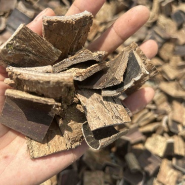 杜仲皮干货刮粗皮多种规格高压清洗产地货源量大从优