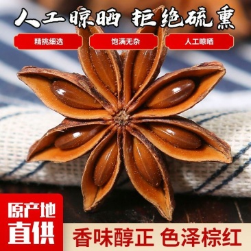 【实力商家】春花八角产地批发自然晾晒物美价廉质优