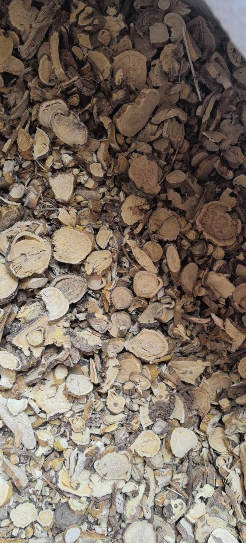 苦参片统货大小片都有万信药业只做保真药材