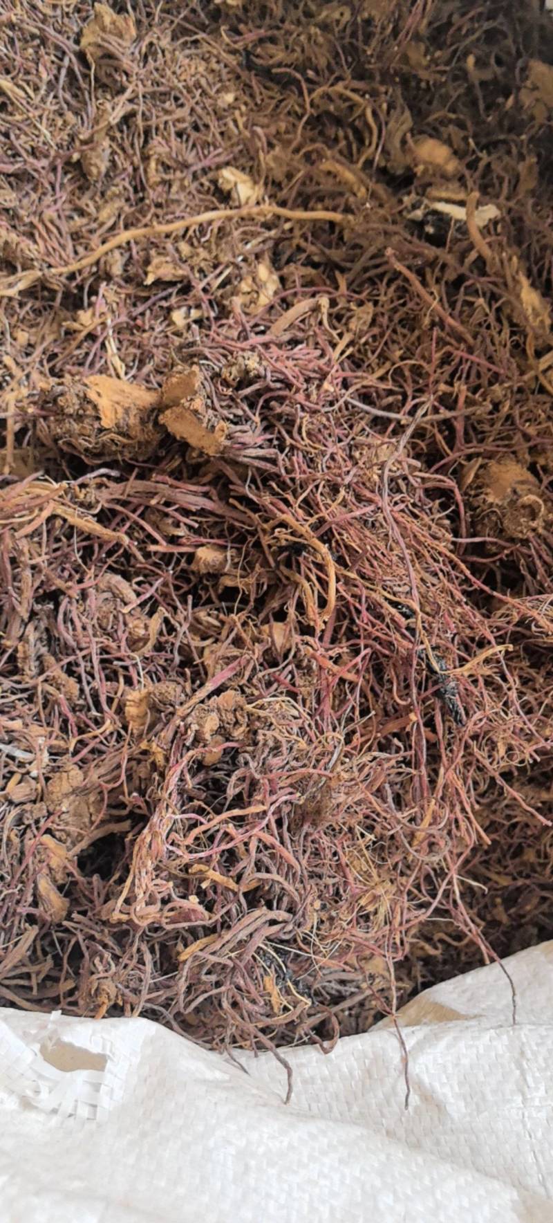 紫苑片无硫紫苑干货万信药业只做保真药材