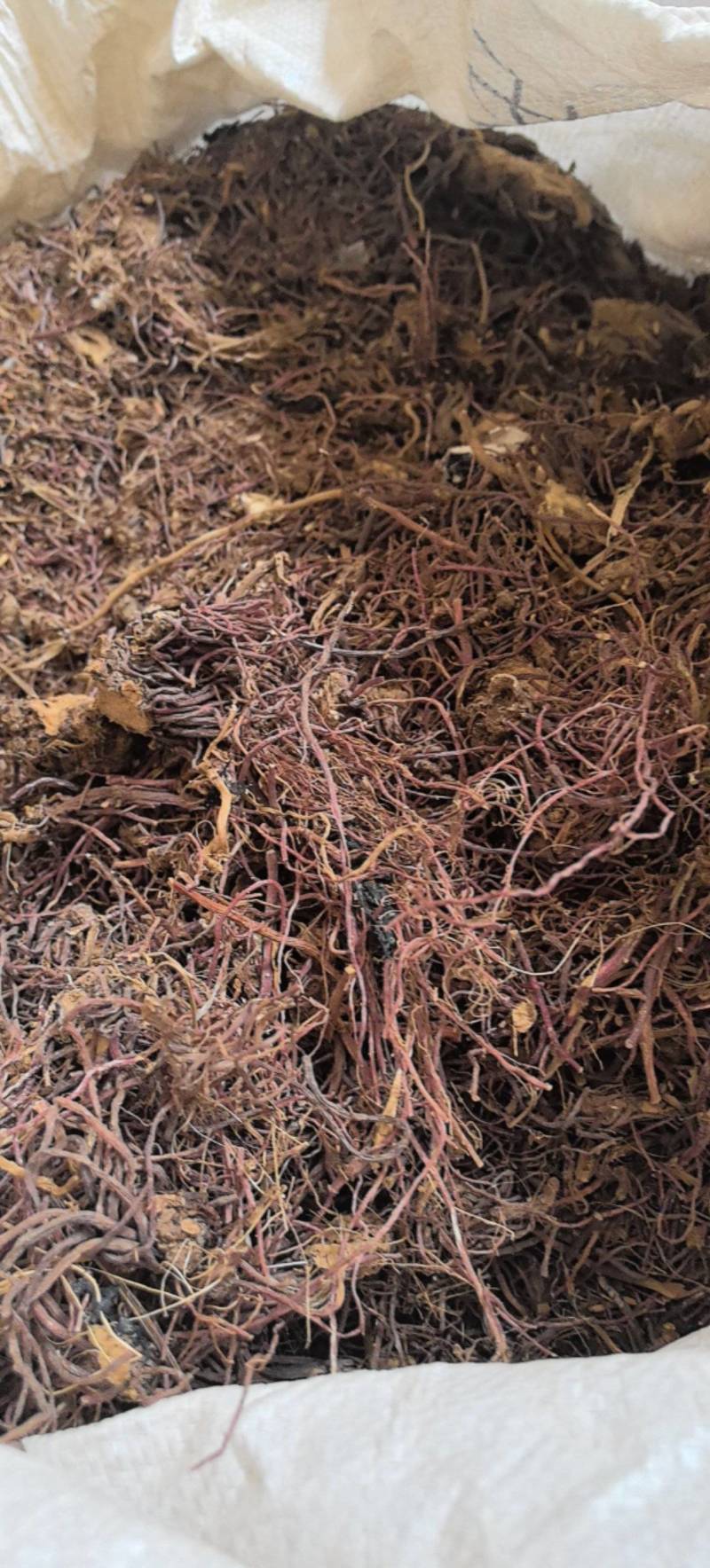 紫苑片无硫紫苑干货万信药业只做保真药材