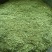苜蓿草粉紫花苜蓿草粉
