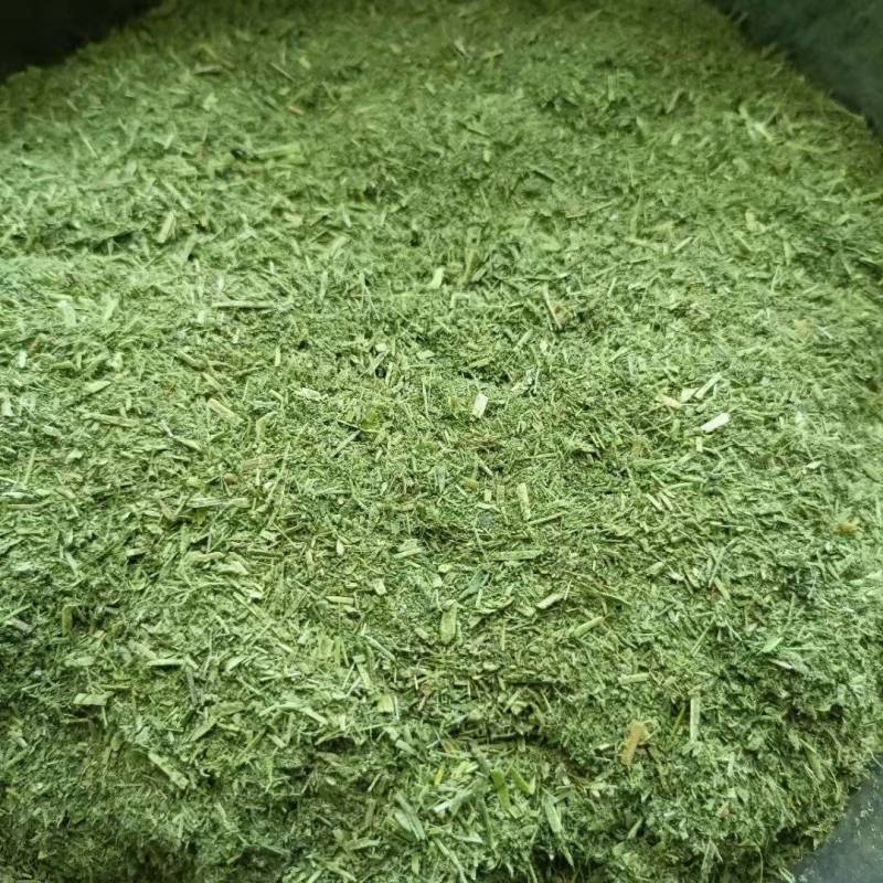 苜蓿草粉紫花苜蓿草粉