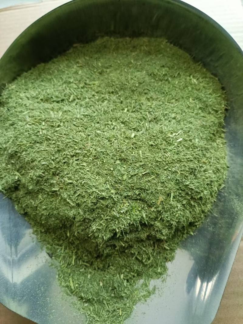 苜蓿草粉紫花苜蓿草粉