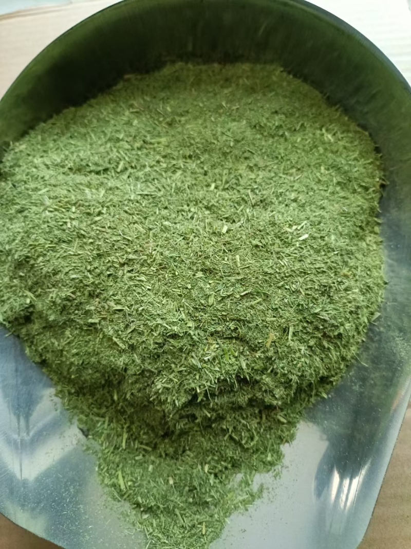 苜蓿草粉紫花苜蓿草粉