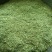 苜蓿草粉紫花苜蓿草粉