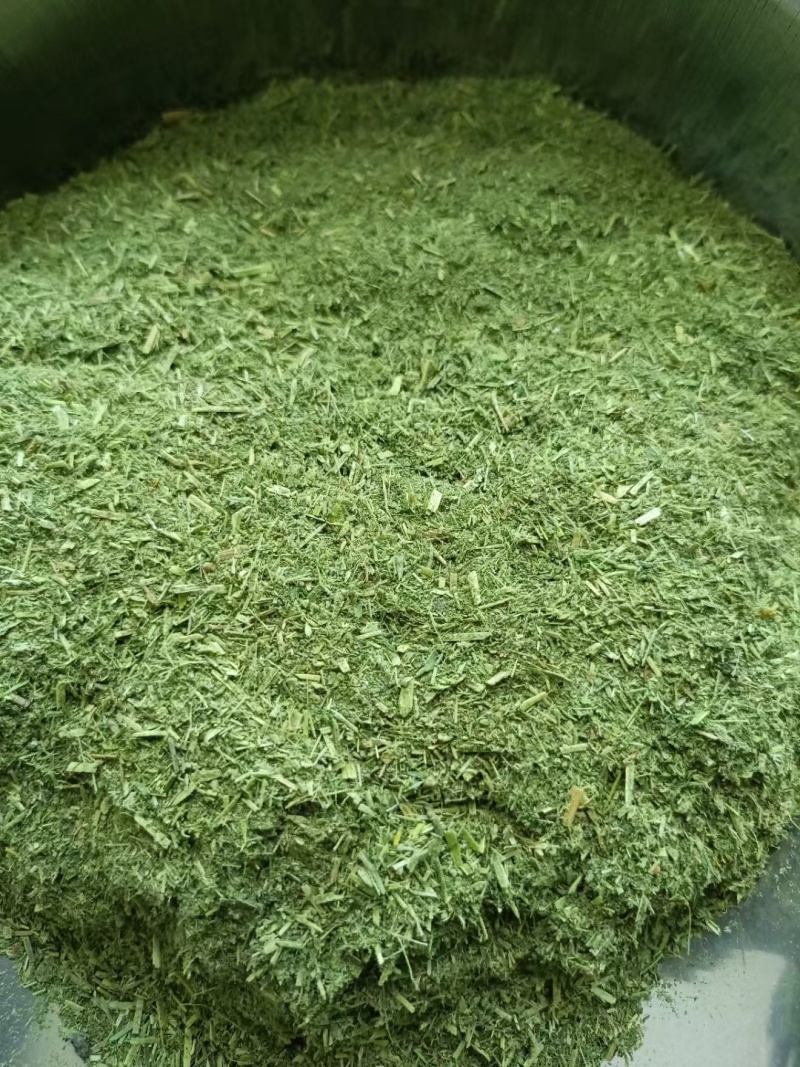 苜蓿草粉紫花苜蓿草粉