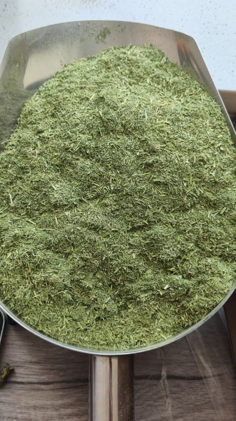 苜蓿草粉紫花苜蓿草粉