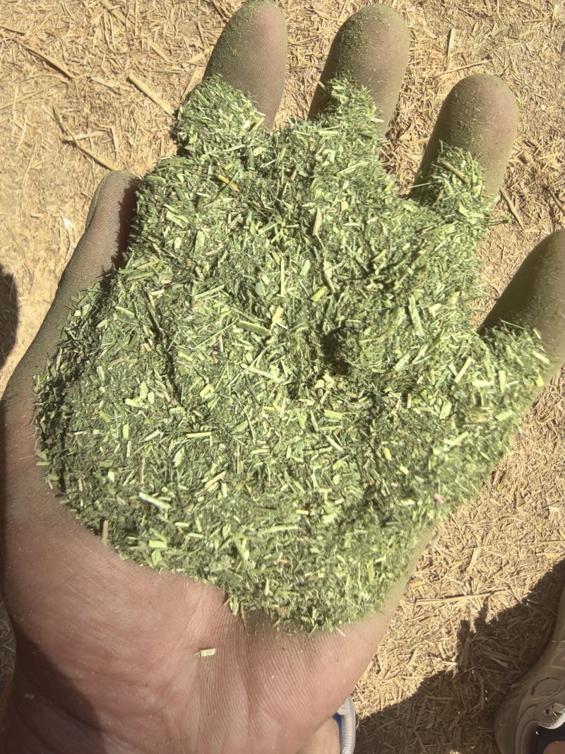 苜蓿草粉紫花苜蓿草粉