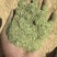苜蓿草粉紫花苜蓿草粉