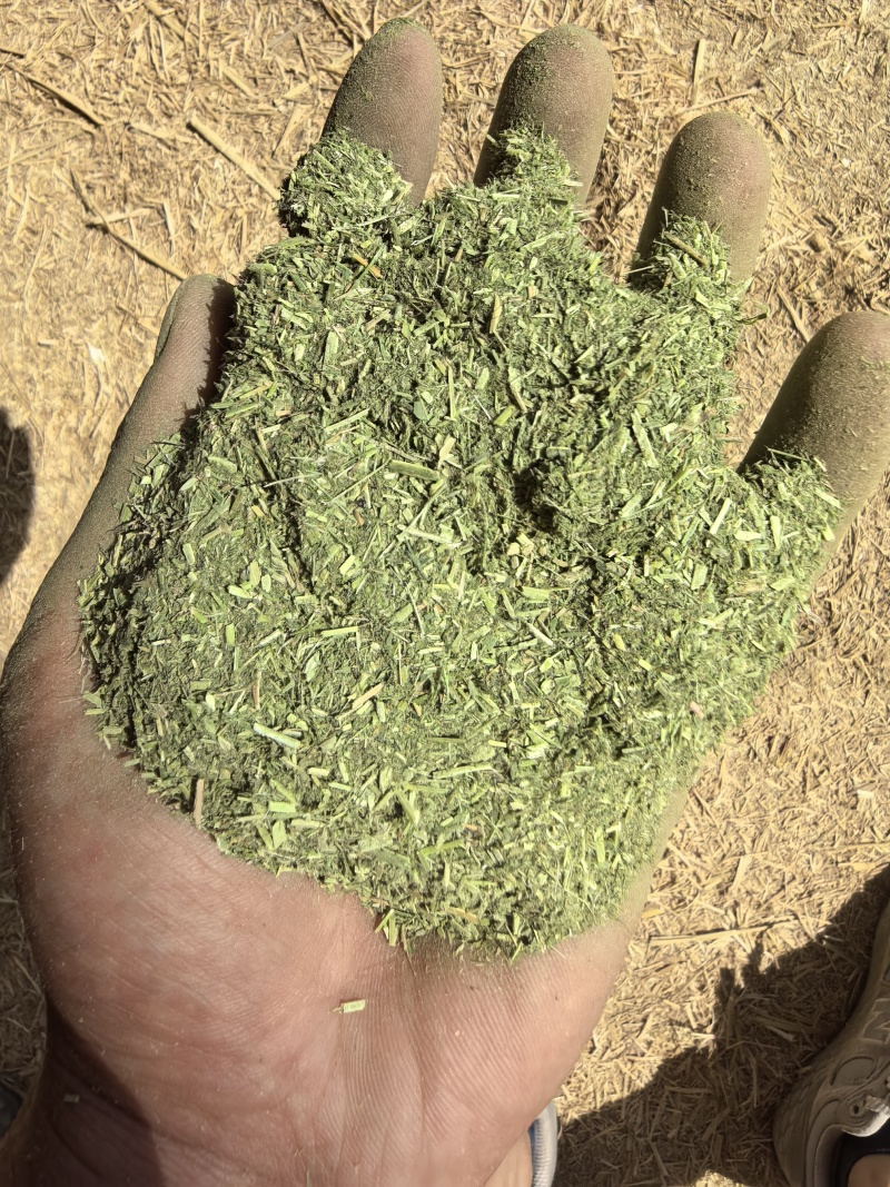 苜蓿草粉紫花苜蓿草粉