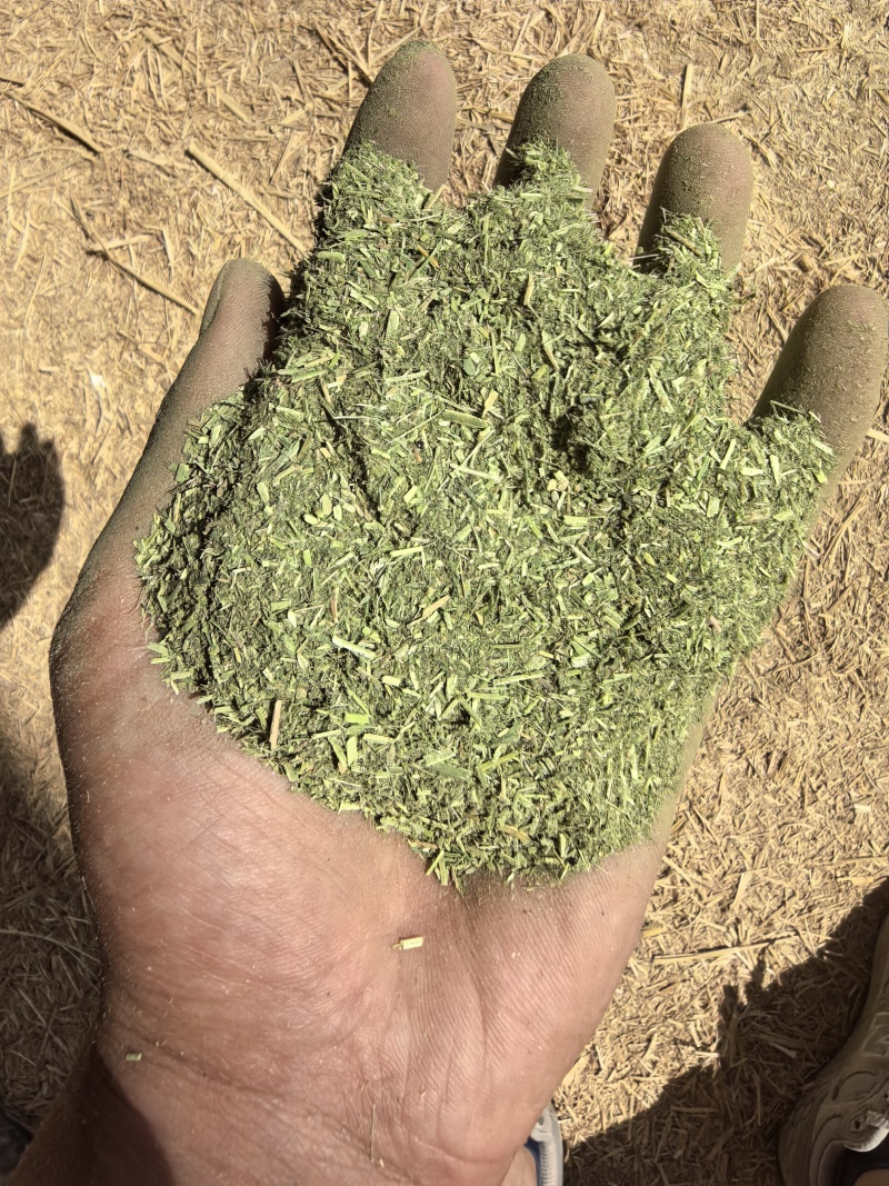 苜蓿草粉紫花苜蓿草粉