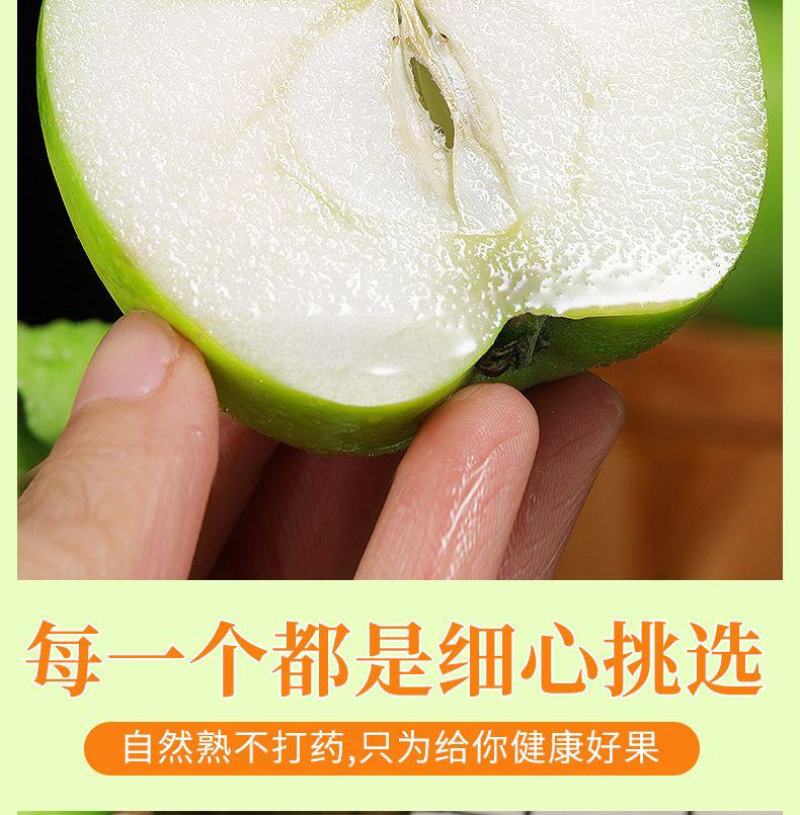 青苹果一件也发新鲜当季小青苹果整箱