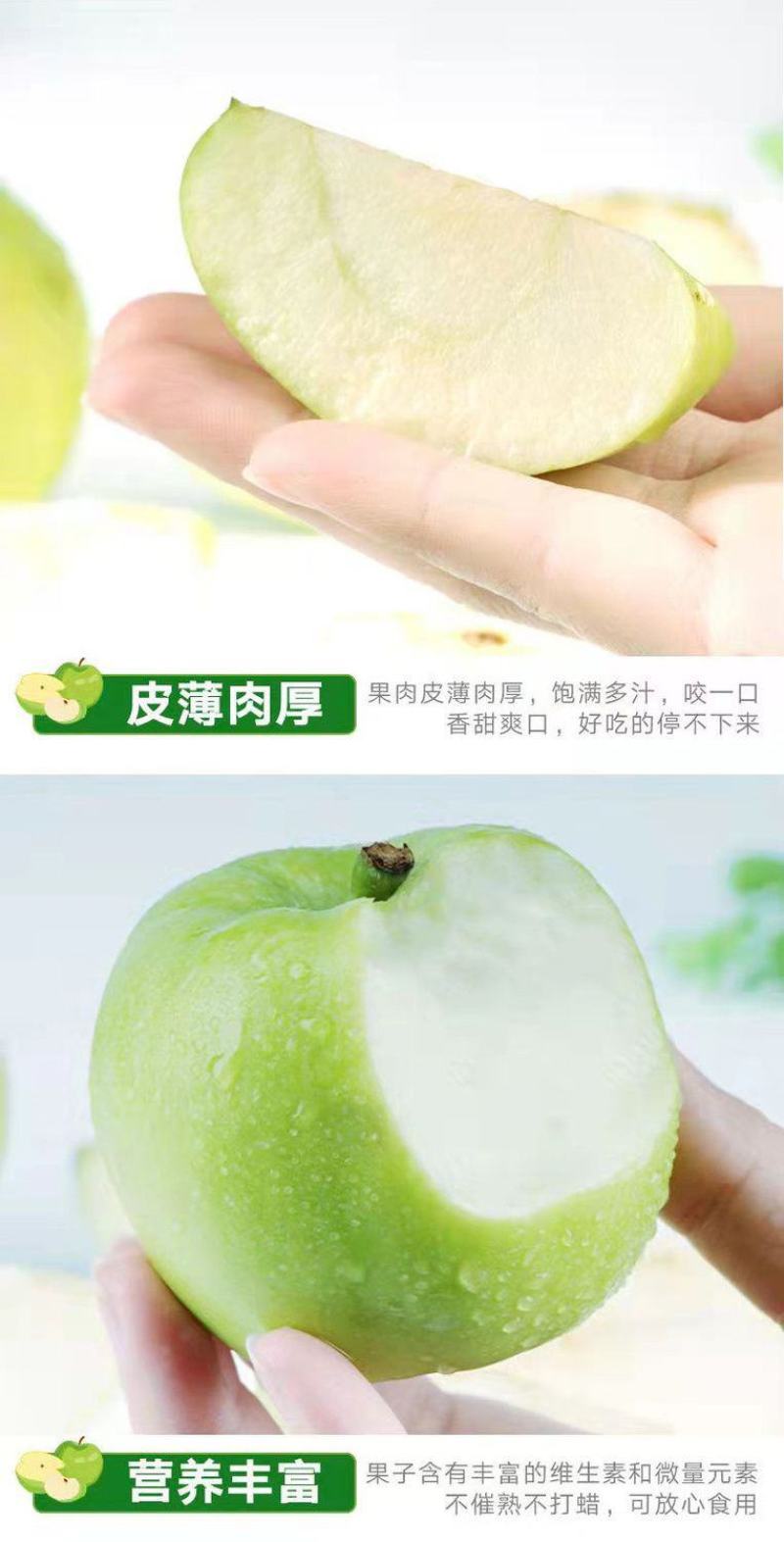 青苹果一件也发新鲜当季小青苹果整箱