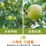 青苹果一件也发新鲜当季小青苹果整箱