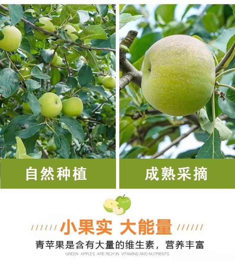 青苹果一件也发新鲜当季小青苹果整箱