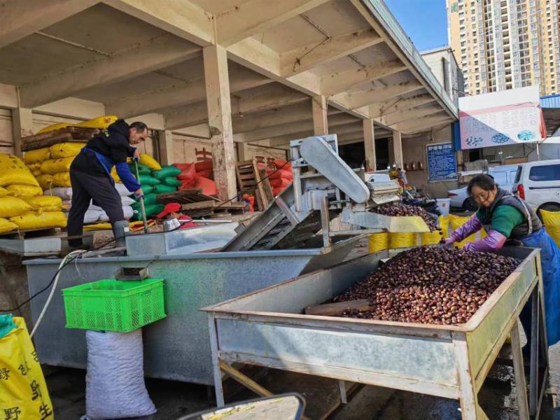 迁西板栗软糯香甜产地直发一手货源保质保量炒货专用量大价优