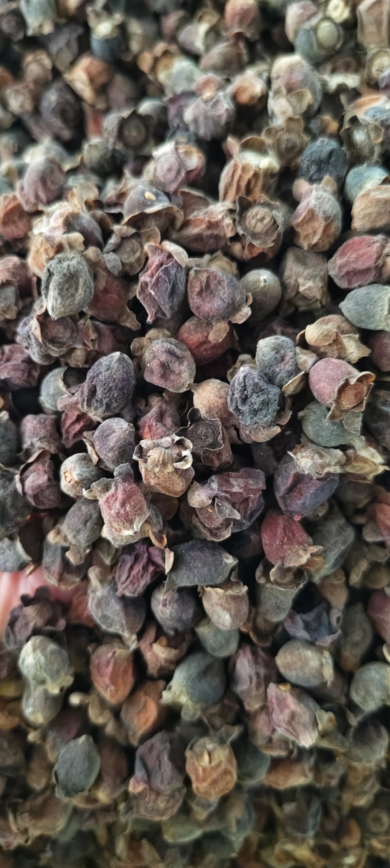 广西稔子干大量供应支持零售批发，诚信经营，一手货源。