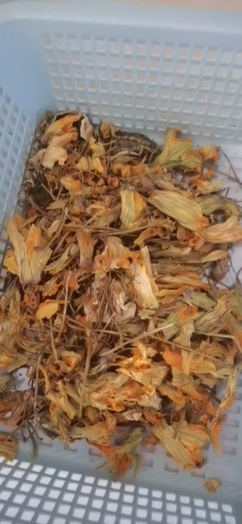 南瓜花干货