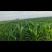 现有5000亩水浇地，可种植各种农作物。