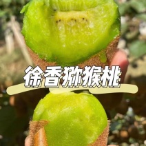 【一件代发】猕猴桃电商抖音视频号拼多多快手