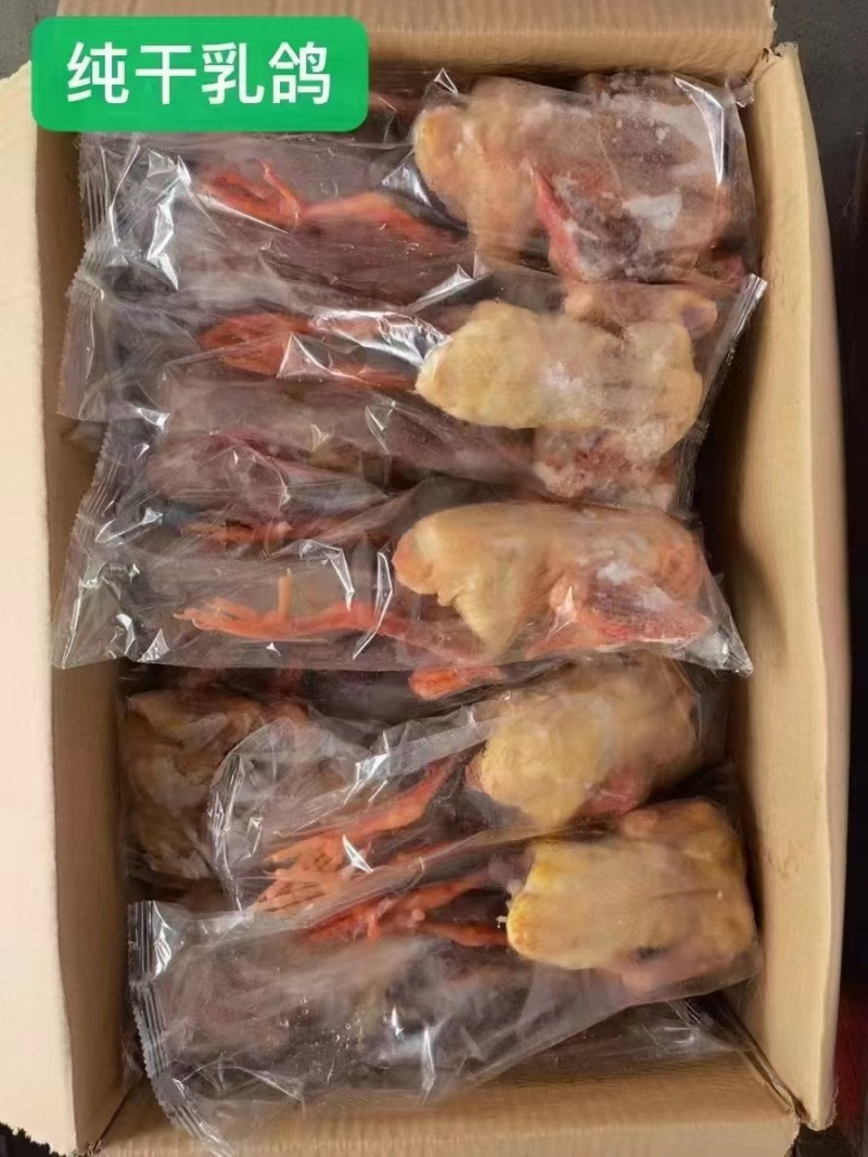 纯干乳鸽，放血的，一级的5-6-7-8-9-10两都有