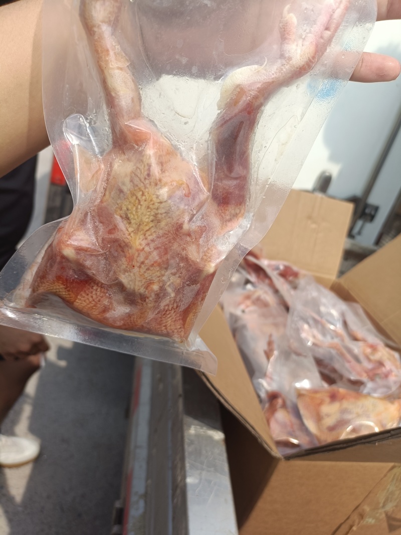 纯干乳鸽，放血的，一级的5-6-7-8-9-10两都有