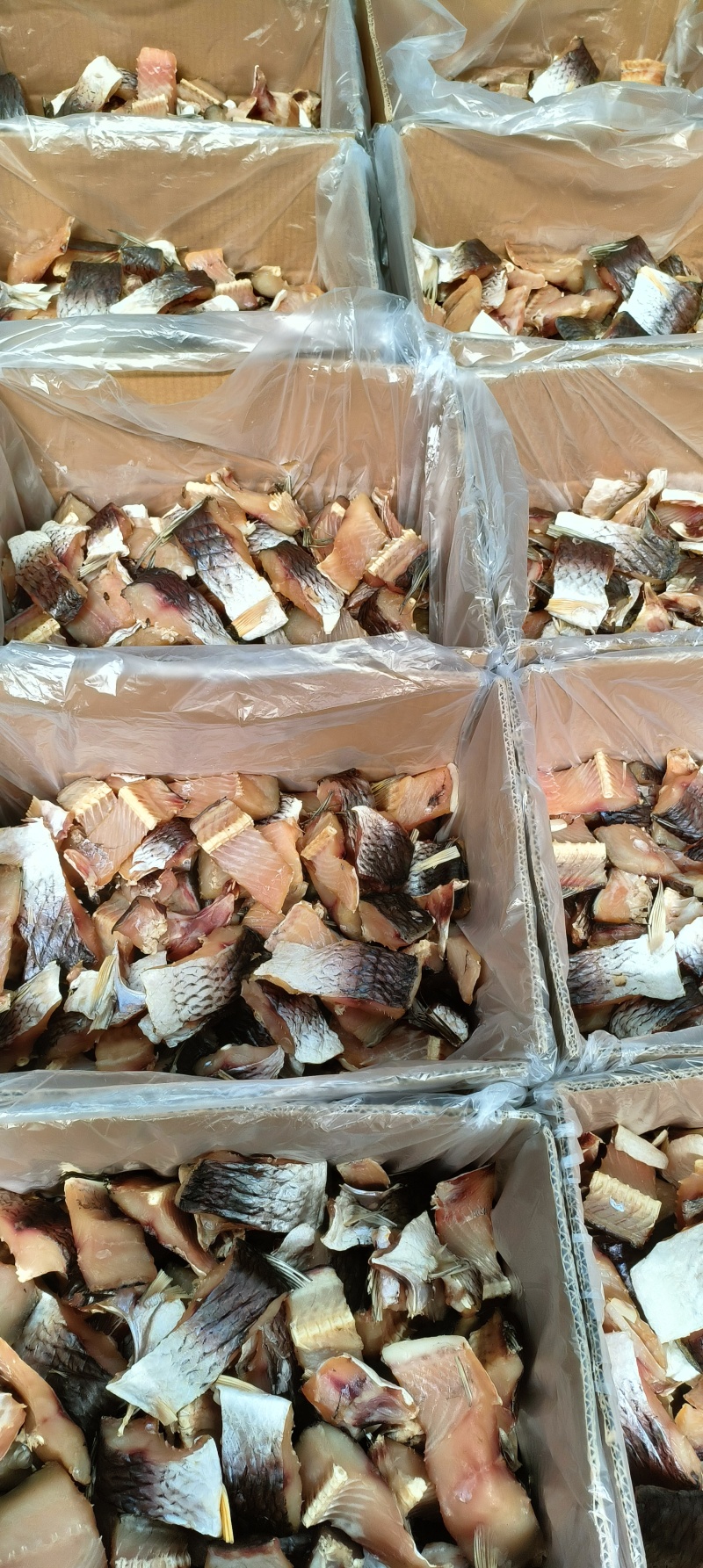 阳干草鱼块草鱼块鱼干