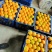 丹江口蜜橘大量上市品质保证一手货源量大从优欢迎联系