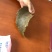 棉籽饼厂家直接发货，保证质量，量大优惠