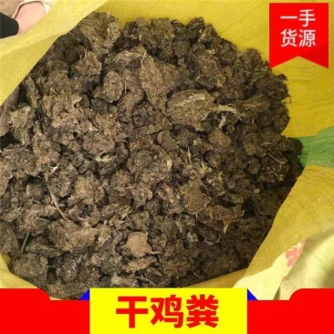 干鸡粪块人工装袋60-65斤/袋