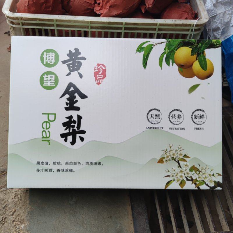 博望黄金梨