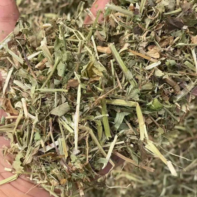【河北精品花生秧草料】量大从优品质保障可视频看货欢迎来电