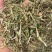 【河北精品花生秧草料】量大从优品质保障可视频看货欢迎来电