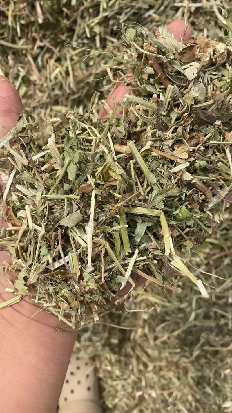 【河北精品花生秧草料】量大从优品质保障可视频看货欢迎来电