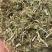 【河北精品花生秧草料】量大从优品质保障可视频看货欢迎来电