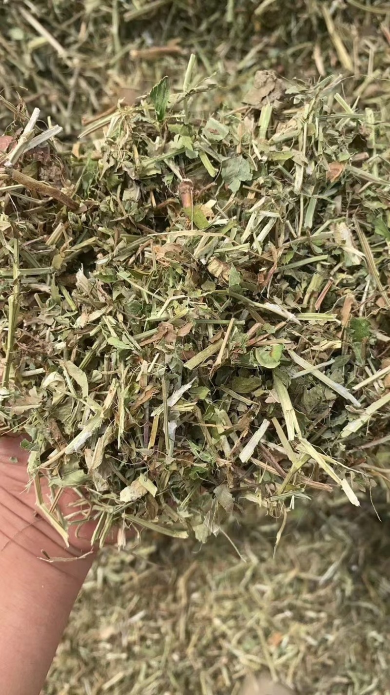 【河北精品花生秧草料】量大从优品质保障可视频看货欢迎来电