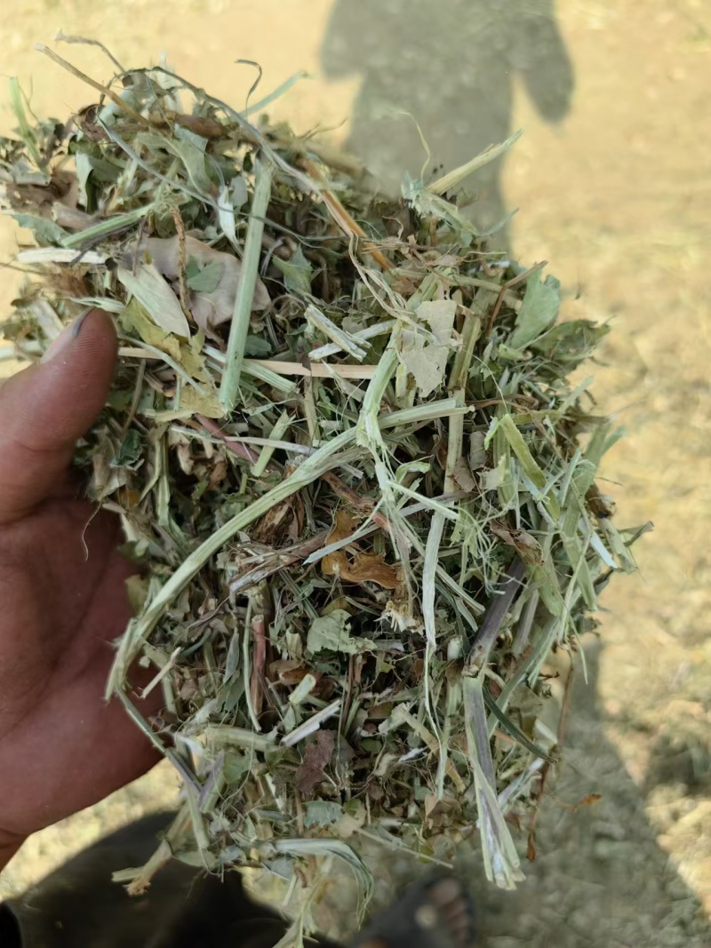 花生秧牛羊草料