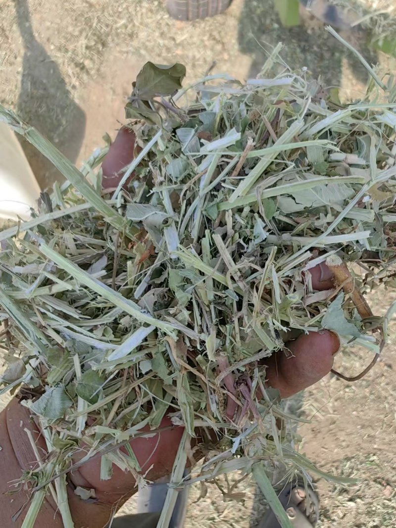 花生秧牛羊草料