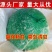 【精选】蔬菜大棚果园专用粘虫球物美价廉欢迎选购