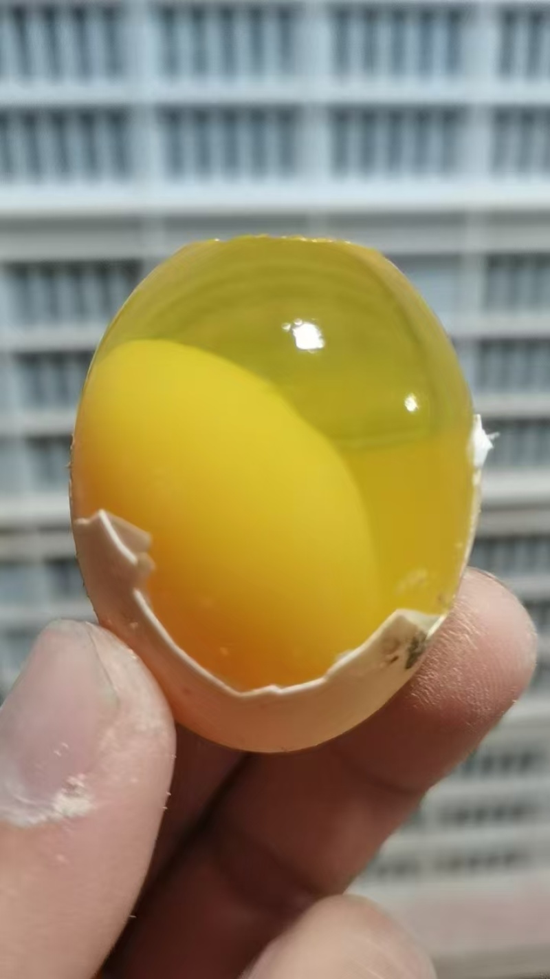 河南溏心变蛋厂家直销水晶鸡皮蛋河南特产变蛋速成鸡皮蛋