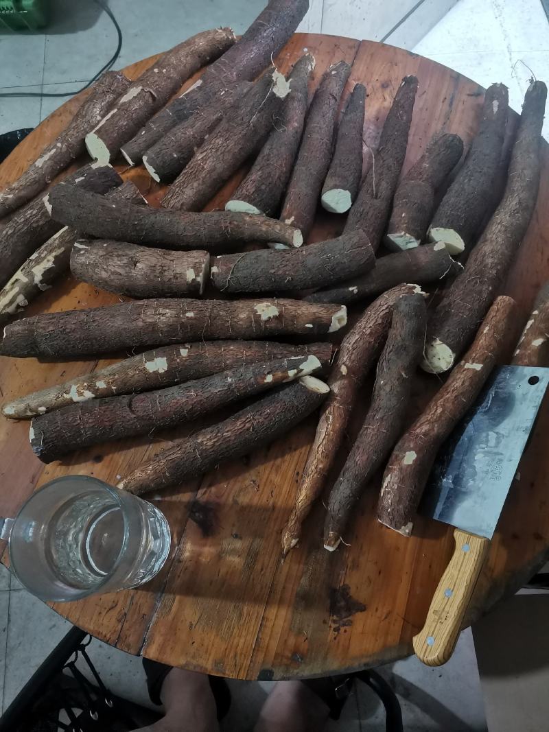 防城港特产，，黄肉木薯，大量上市