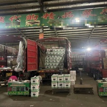 代卖代购各种精品蔬菜/自家档口/西安欣桥市场欢迎合作