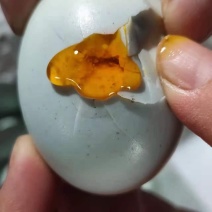 山东咸海鸭蛋，青咸淡适中，黄起沙出油，对接批发商
