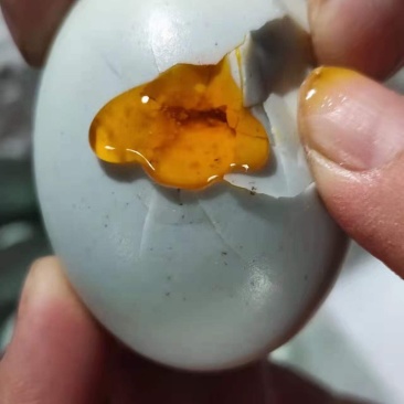 山东咸海鸭蛋，青咸淡适中，黄起沙出油，对接批发商