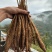 大凉山甜当归，干当归，菜当归，小金当归，干当归，药当归