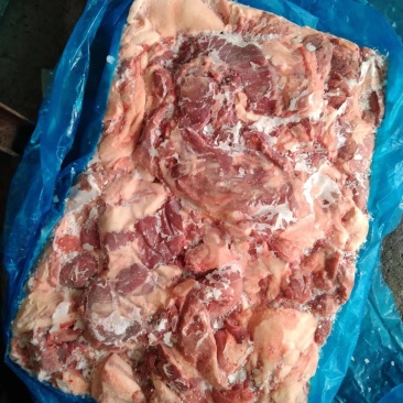 母猪五五碎肉，新货，每天生产，比例好，适合加工厂