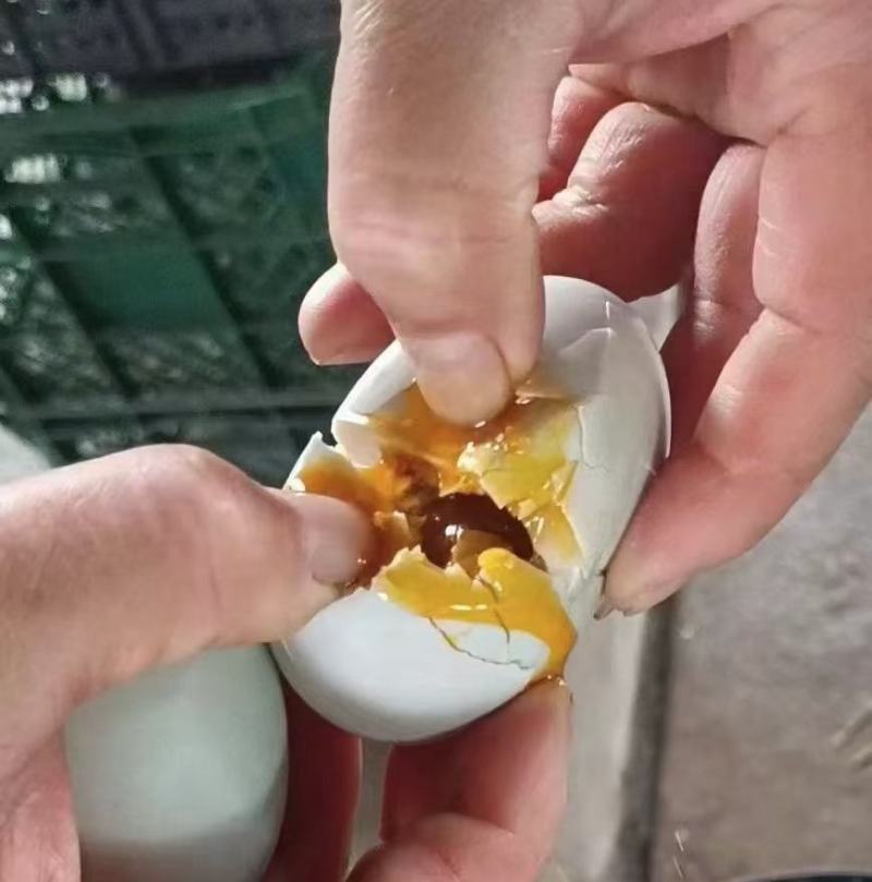 山东咸海鸭蛋，青咸淡适中，黄起沙出油，对接批发商