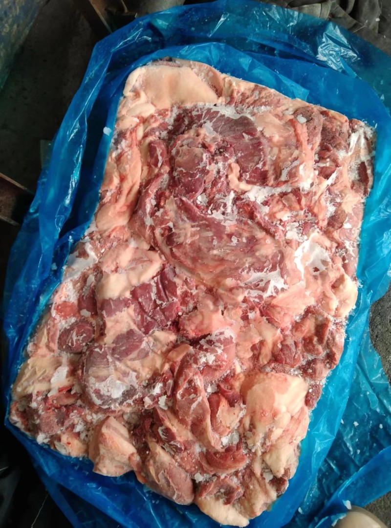 母猪五五碎肉，新货，每天生产，比例好，适合加工厂