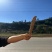 甜当归干当归当归西归菜当归大凉山高山